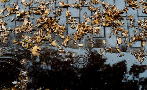 Prevenative fall cleaning helps reduce mess from leaves and rains.